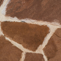 arenisca